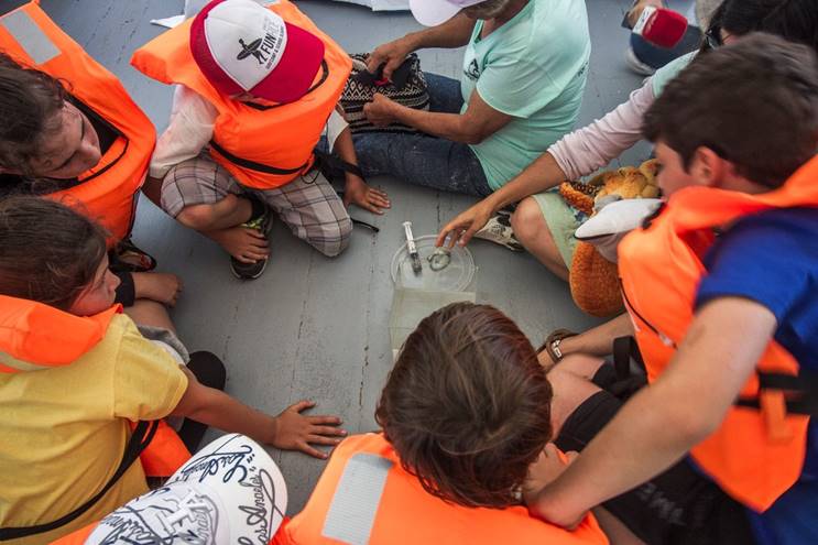 A group of students lookig at an experiment