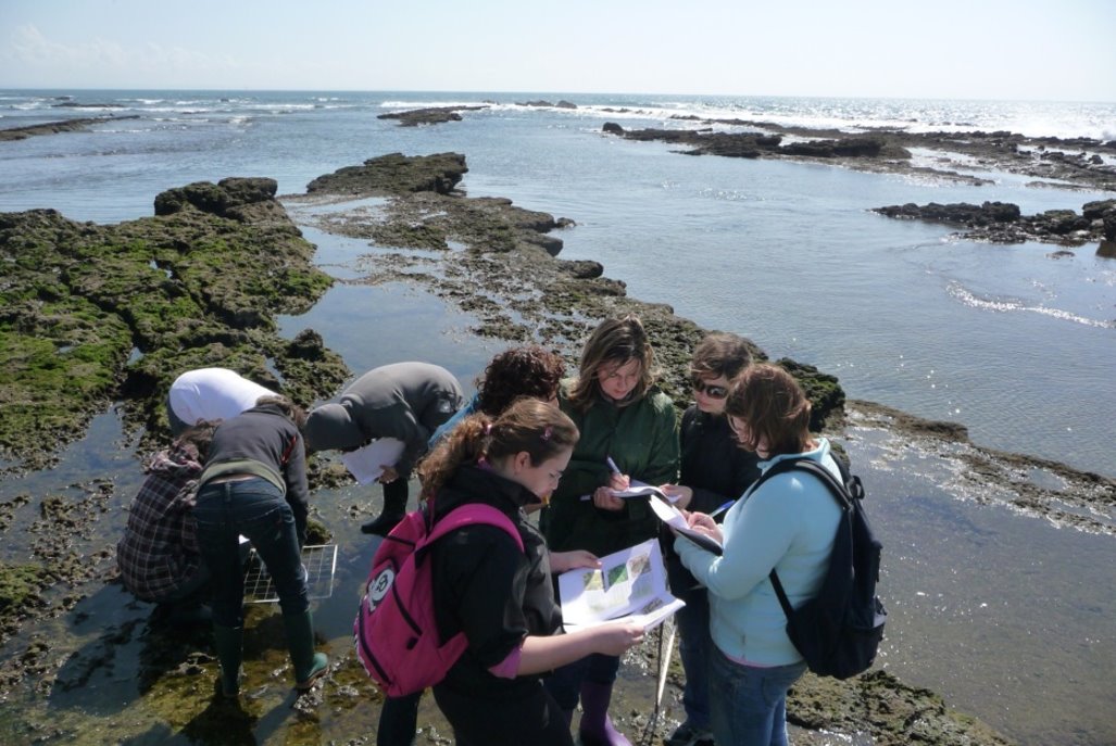 A group of teachers on a field trip on the beach